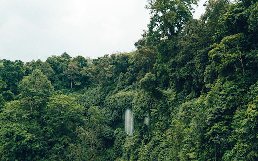 green wood from Chrome web store to be run with OffiDocs Chromium online green wood from Chrome web store to be run with OffiDocs Chromium online