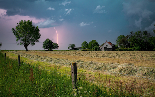 Harvest before the storm from Chrome web store to be run with OffiDocs Chromium online Harvest before the storm from Chrome web store to be run with OffiDocs Chromium online