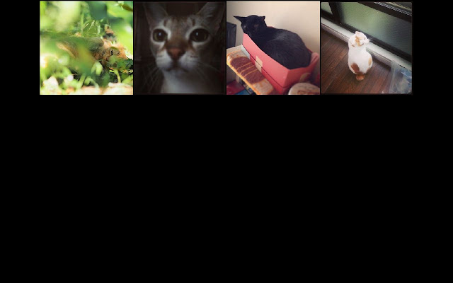 Healing SlideshowCat from Chrome web store to be run with OffiDocs Chromium online Healing SlideshowCat from Chrome web store to be run with OffiDocs Chromium online