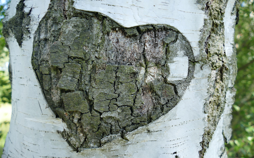 Heart shaped floating tree from Chrome web store to be run with OffiDocs Chromium online Heart shaped floating tree from Chrome web store to be run with OffiDocs Chromium online