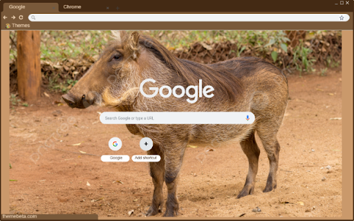 Heo rung chau Phi from Chrome web store to be run with OffiDocs Chromium online Heo rung chau Phi from Chrome web store to be run with OffiDocs Chromium online
