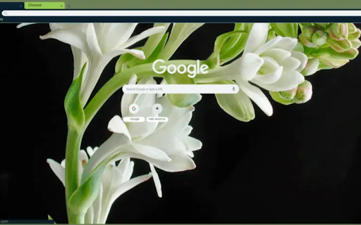 hoa hue from Chrome web store to be run with OffiDocs Chromium online hoa hue from Chrome web store to be run with OffiDocs Chromium online
