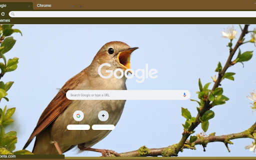 Hoa Mi from Chrome web store to be run with OffiDocs Chromium online Hoa Mi from Chrome web store to be run with OffiDocs Chromium online