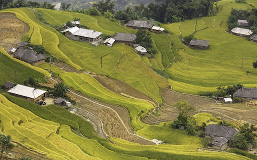 houses and terraced fields from Chrome web store to be run with OffiDocs Chromium online houses and terraced fields from Chrome web store to be run with OffiDocs Chromium online
