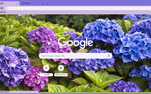 Hydrangea from Chrome web store to be run with OffiDocs Chromium online Hydrangea from Chrome web store to be run with OffiDocs Chromium online