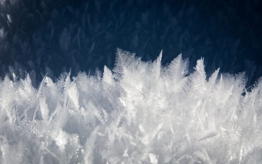 Ice leaf tree from Chrome web store to be run with OffiDocs Chromium online Ice leaf tree from Chrome web store to be run with OffiDocs Chromium online
