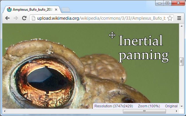Image Autosizer from Chrome web store to be run with OffiDocs Chromium online Image Autosizer from Chrome web store to be run with OffiDocs Chromium online
