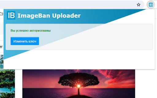 ImageBan Uploader from Chrome web store to be run with OffiDocs Chromium online ImageBan Uploader from Chrome web store to be run with OffiDocs Chromium online