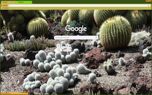 Immortal cactus from Chrome web store to be run with OffiDocs Chromium online Immortal cactus from Chrome web store to be run with OffiDocs Chromium online