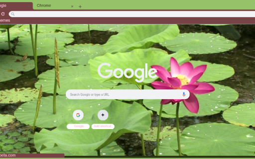 Indian Lotus from Chrome web store to be run with OffiDocs Chromium online Indian Lotus from Chrome web store to be run with OffiDocs Chromium online