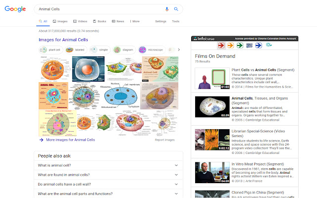 Infobase from Chrome web store to be run with OffiDocs Chromium online Infobase from Chrome web store to be run with OffiDocs Chromium online