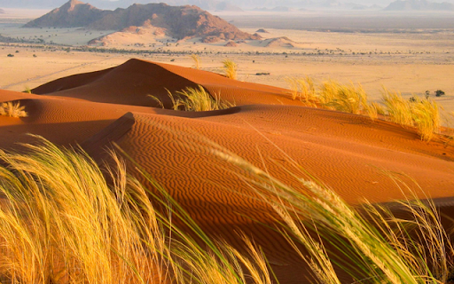 Kalahari Desert from Chrome web store to be run with OffiDocs Chromium online Kalahari Desert from Chrome web store to be run with OffiDocs Chromium online