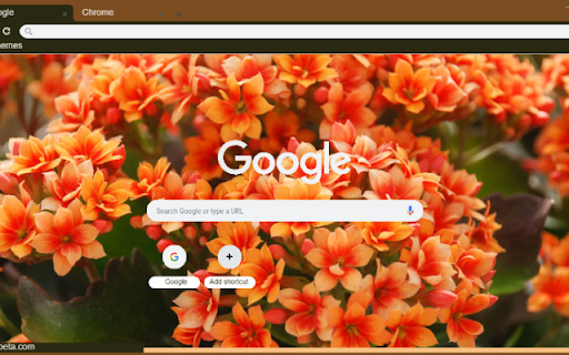 Kalanchoe from Chrome web store to be run with OffiDocs Chromium online Kalanchoe from Chrome web store to be run with OffiDocs Chromium online