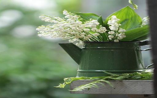 Kettle wallpaper for flowers from Chrome web store to be run with OffiDocs Chromium online Kettle wallpaper for flowers from Chrome web store to be run with OffiDocs Chromium online