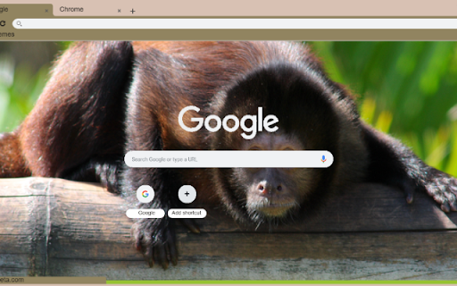 Khi Capuchin from Chrome web store to be run with OffiDocs Chromium online Khi Capuchin from Chrome web store to be run with OffiDocs Chromium online