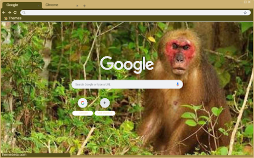 Khi dau do from Chrome web store to be run with OffiDocs Chromium online Khi dau do from Chrome web store to be run with OffiDocs Chromium online