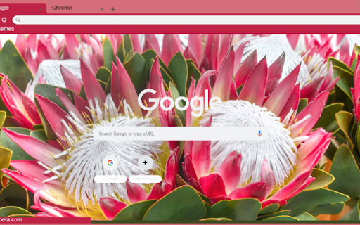 King Protea from Chrome web store to be run with OffiDocs Chromium online King Protea from Chrome web store to be run with OffiDocs Chromium online
