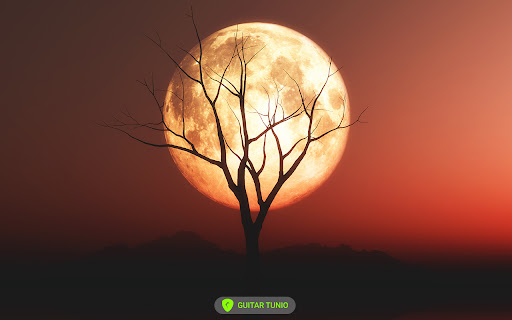 Last Night Chords by Morgan Wallen from Chrome web store to be run with OffiDocs Chromium online Last Night Chords by Morgan Wallen from Chrome web store to be run with OffiDocs Chromium online