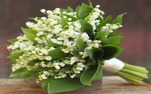 Lily of the Valley bouquet wallpaper from Chrome web store to be run with OffiDocs Chromium online Lily of the Valley bouquet wallpaper from Chrome web store to be run with OffiDocs Chromium online