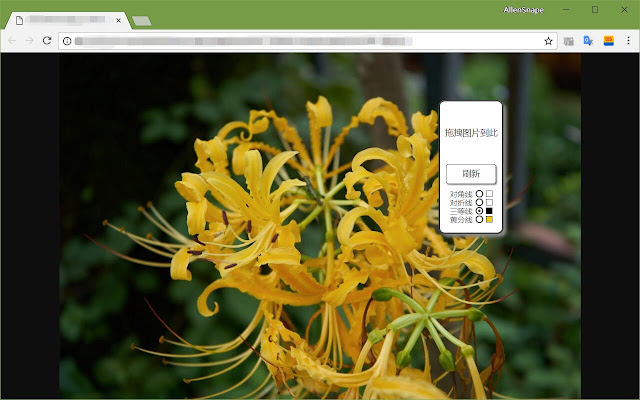 Liner from Chrome web store to be run with OffiDocs Chromium online Liner from Chrome web store to be run with OffiDocs Chromium online
