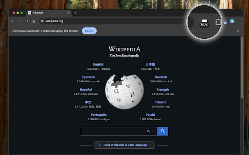 Lite Image Downlaoder from Chrome web store to be run with OffiDocs Chromium online Lite Image Downlaoder from Chrome web store to be run with OffiDocs Chromium online