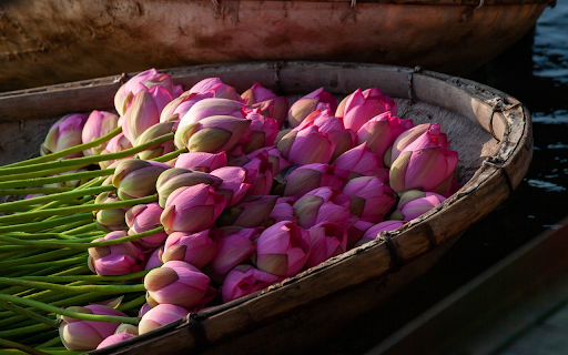 Lotus boat from Chrome web store to be run with OffiDocs Chromium online Lotus boat from Chrome web store to be run with OffiDocs Chromium online