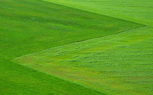 Lush green grass from Chrome web store to be run with OffiDocs Chromium online Lush green grass from Chrome web store to be run with OffiDocs Chromium online