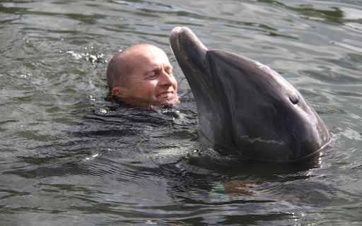 Man and dolphin from Chrome web store to be run with OffiDocs Chromium online Man and dolphin from Chrome web store to be run with OffiDocs Chromium online