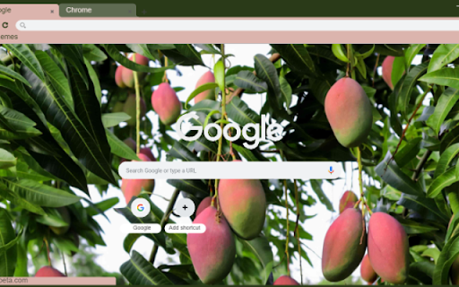 Mango Tree from Chrome web store to be run with OffiDocs Chromium online Mango Tree from Chrome web store to be run with OffiDocs Chromium online
