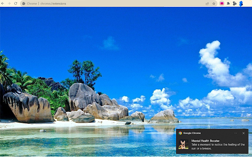Mental Health Booster from Chrome web store to be run with OffiDocs Chromium online Mental Health Booster from Chrome web store to be run with OffiDocs Chromium online