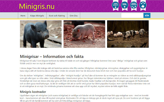 Minigris.nu from Chrome web store to be run with OffiDocs Chromium online Minigris.nu from Chrome web store to be run with OffiDocs Chromium online