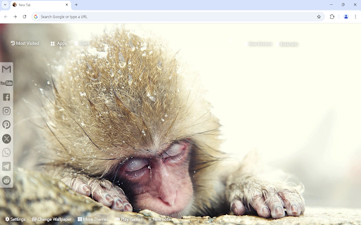 Monkey Wallpaper from Chrome web store to be run with OffiDocs Chromium online Monkey Wallpaper from Chrome web store to be run with OffiDocs Chromium online