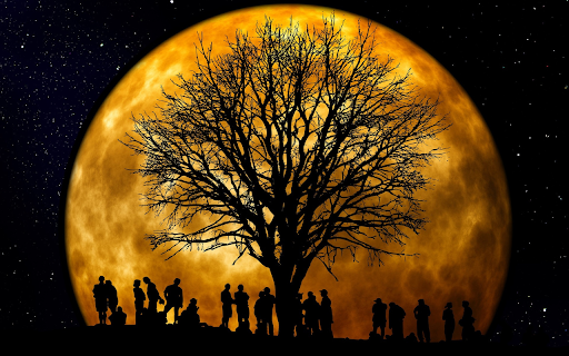 Moonlight party from Chrome web store to be run with OffiDocs Chromium online Moonlight party from Chrome web store to be run with OffiDocs Chromium online