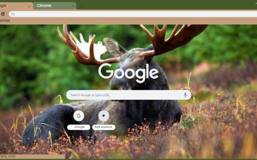 Moose from Chrome web store to be run with OffiDocs Chromium online Moose from Chrome web store to be run with OffiDocs Chromium online