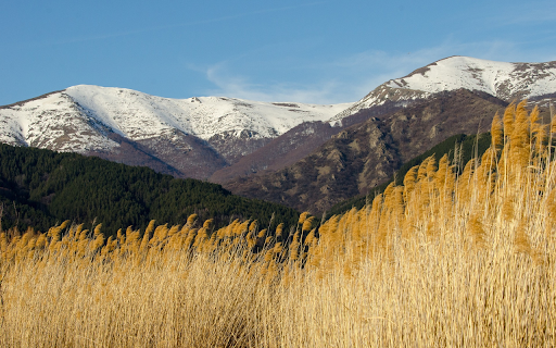 Mountains and dry grass from Chrome web store to be run with OffiDocs Chromium online Mountains and dry grass from Chrome web store to be run with OffiDocs Chromium online