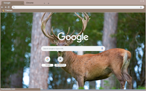 Nai rung chau A from Chrome web store to be run with OffiDocs Chromium online Nai rung chau A from Chrome web store to be run with OffiDocs Chromium online