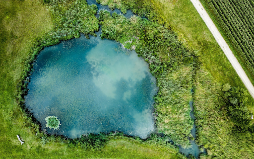 Natural green lake from Chrome web store to be run with OffiDocs Chromium online Natural green lake from Chrome web store to be run with OffiDocs Chromium online