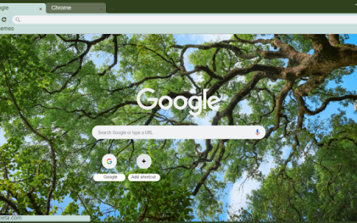 Oak from Chrome web store to be run with OffiDocs Chromium online Oak from Chrome web store to be run with OffiDocs Chromium online