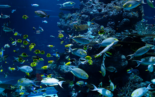 Oceanic Serenity from Chrome web store to be run with OffiDocs Chromium online Oceanic Serenity from Chrome web store to be run with OffiDocs Chromium online