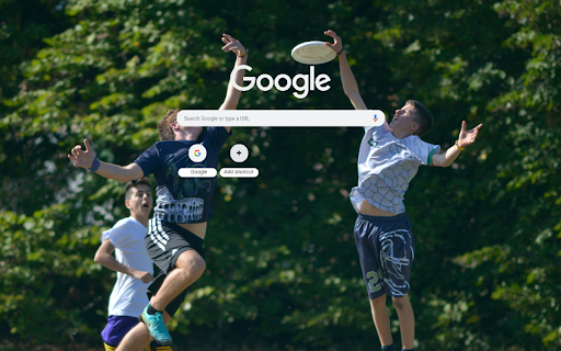 Outdoor Frisbee Game Fun from Chrome web store to be run with OffiDocs Chromium online Outdoor Frisbee Game Fun from Chrome web store to be run with OffiDocs Chromium online