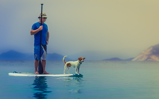 Owner and dog from Chrome web store to be run with OffiDocs Chromium online Owner and dog from Chrome web store to be run with OffiDocs Chromium online