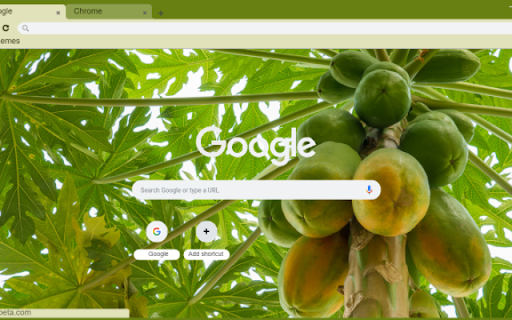 Papaya Tree from Chrome web store to be run with OffiDocs Chromium online Papaya Tree from Chrome web store to be run with OffiDocs Chromium online