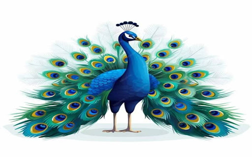peacock wallpaper from Chrome web store to be run with OffiDocs Chromium online peacock wallpaper from Chrome web store to be run with OffiDocs Chromium online