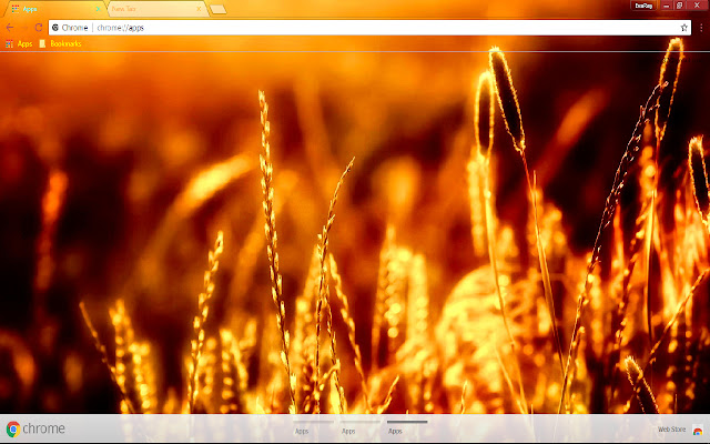 Photography Wheat from Chrome web store to be run with OffiDocs Chromium online Photography Wheat from Chrome web store to be run with OffiDocs Chromium online