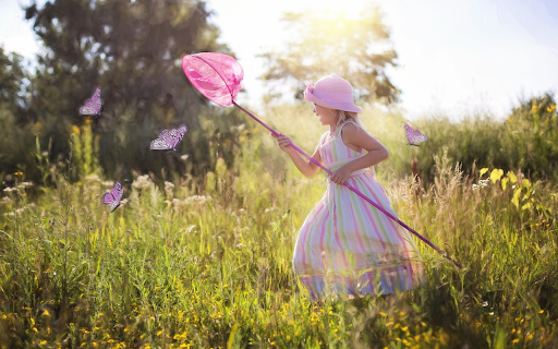Picking flowers to catch butterflies from Chrome web store to be run with OffiDocs Chromium online Picking flowers to catch butterflies from Chrome web store to be run with OffiDocs Chromium online