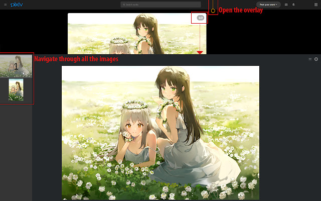 Pixiv Image Overlay from Chrome web store to be run with OffiDocs Chromium online Pixiv Image Overlay from Chrome web store to be run with OffiDocs Chromium online