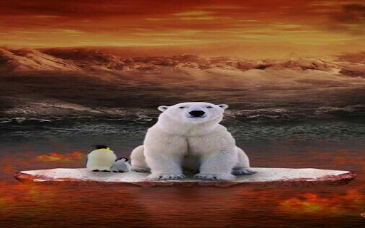 Polar bear and penguin wallpaper from Chrome web store to be run with OffiDocs Chromium online Polar bear and penguin wallpaper from Chrome web store to be run with OffiDocs Chromium online