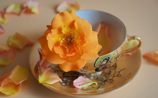 Porcelain enamel and flowers from Chrome web store to be run with OffiDocs Chromium online Porcelain enamel and flowers from Chrome web store to be run with OffiDocs Chromium online