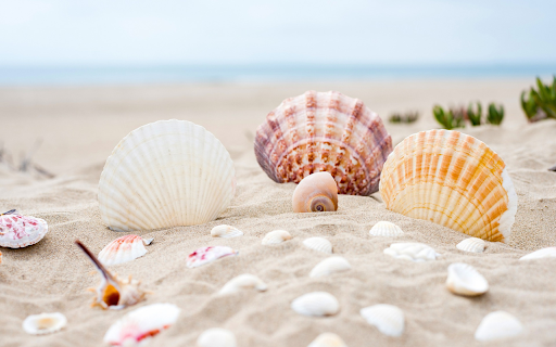 Products of the sea from Chrome web store to be run with OffiDocs Chromium online Products of the sea from Chrome web store to be run with OffiDocs Chromium online