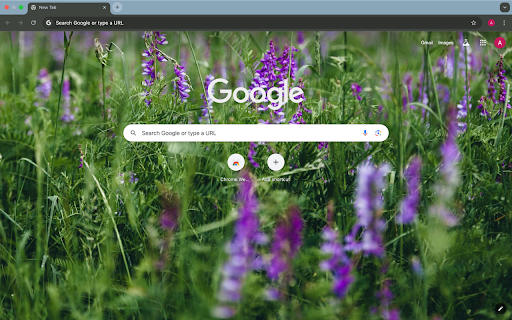 purple grass from Chrome web store to be run with OffiDocs Chromium online purple grass from Chrome web store to be run with OffiDocs Chromium online